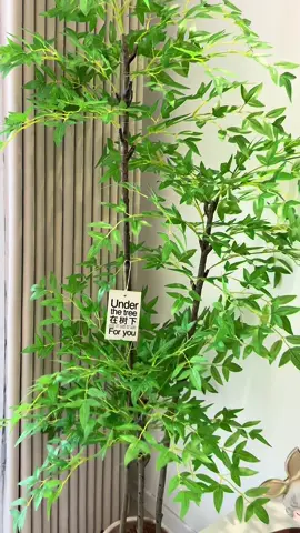 Cây giả siêu sang cho decor phòng khách 🌿✨#decor #fyp #foryou 