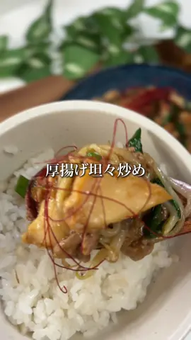 『厚揚げ坦々炒め』 　 【材料】（5人分くらい） 豚ひき肉　600gくらい にんにくチューブ　2cmくらい しょうがチューブ　2cmくらい 厚揚げ　1袋 ◆味噌　大1くらい ◆醤油　大3くらい ◆砂糖　大3くらい ◆酒　　大3くらい ◆豆板醤　大1/2くらい ◆すりごま　大3くらい ニラ　1束 もやし　1袋 水溶き片栗粉（片栗粉　大2 : 水 大2） あれば糸唐辛子　適当 ※詳しいレシピはInstagramに載っています🍳 　　 #15分レシピ #時短レシピ #豚ひき肉#厚揚げ#ニラ#もやし#坦々炒め #男子飯
