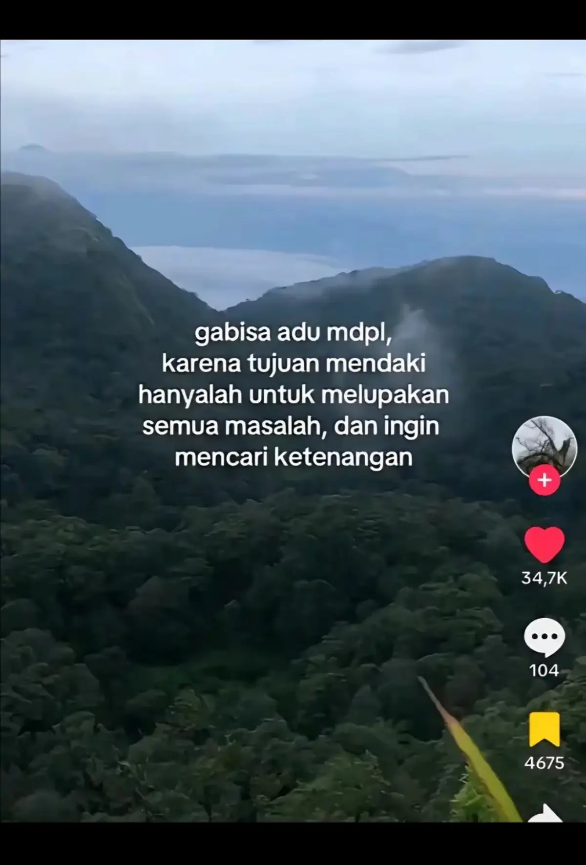 Arjuno via tretes cocok bngt buat pemula🙏🏻 #pendakigunung #pendaki #pendakifomo #smakrapala #arjuno3339mdpl #arjunoviatretes #fyp 