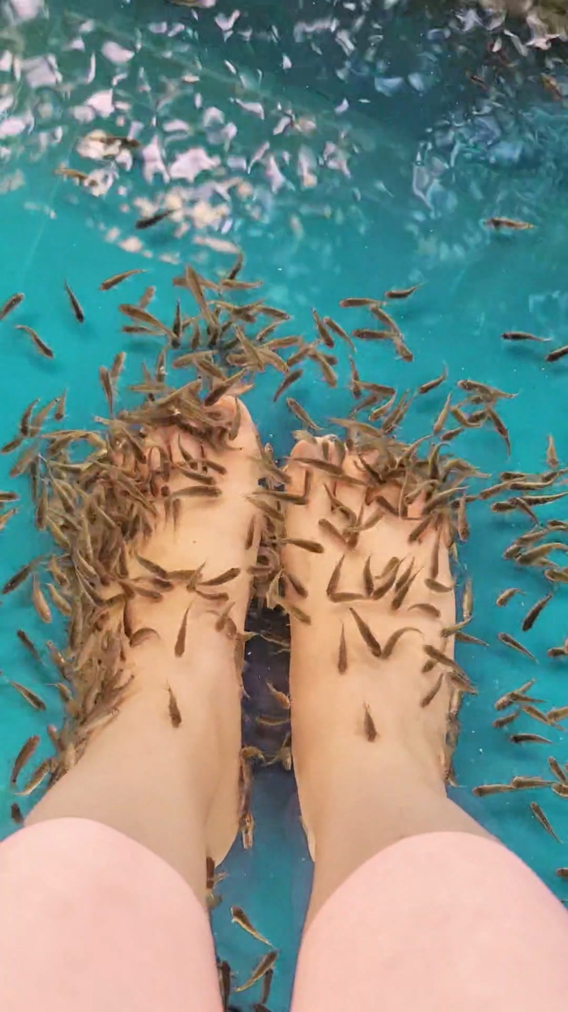 WOULD YOU TRY FISH SPA? 🐟 #fishspa #spa #bali #travel