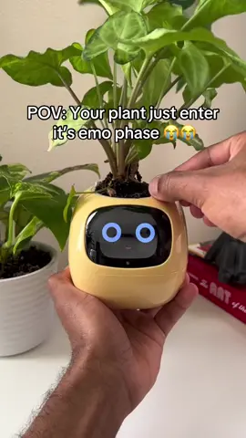Tuya Ivy smart planter! Link in bio!  Fallow for more!  #tiktok #tiktokmademebuyit #Love #cute #like #california #flowers #garden #nature #family #girls #Home #plants #planter 