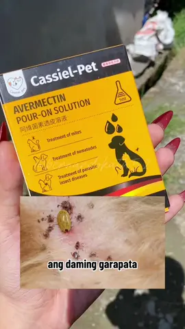 #cassielpetawermectinpouronsolution #cassielpet #garapatanomore #avermectinpouron #avermectin #antifleaandtick #antitickandflea #foryoupage #fypシ #fyp 