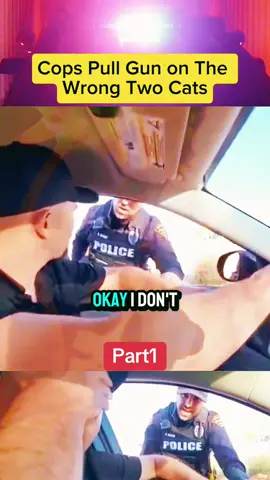 #cops #audit #police #policeofficer #copsoftiktok #fyp #foryou 