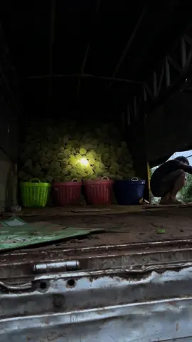 Đang bỏ phân đakmill có thằng e đt.a có chất sầu riêng về Bảo Lộc k.có xe anh đang đâu...đakmill.chất ngay đakmill luôn ak.ok hốt luôn