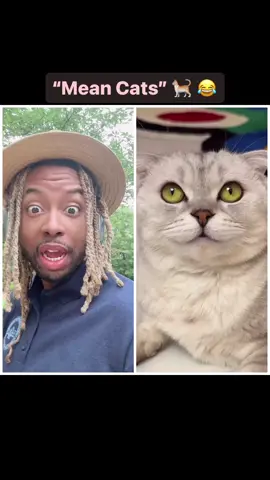 #DIABOLICAL! A #cat with a #BurnBook is nasty work!! 🤣🤣——Follow me on TikTok @michaeljonvier2; Instagram, SnapChat, YouTube, Twitter @michaeljonvier—-#MichaelJonvier #heymikeyatl #fyp #foryourpage #explore  #explorepage #reaction #reactionvideo #mediapersonality #TikToker #YouTuber #journalist #duet  #reelsinstagram #facebookreels #meangirls #reginageorge #voiceover #funny #funnyvideos #funnyreels #catvideos #catsofinstagram #petstagram #petsofinstagram #catreels #catsoftiktok #catsoffacebook #PetsOfTikTok #PetsofFacebook 