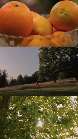 summer days like these 🌞🍊🚲☁️🍃 #summervibes #cinematography #filmtok #cinematic #Summer 
