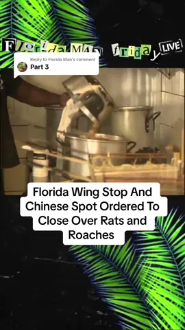 Replying to @Florida Man #caughtoncamera #part3 #floridaman 