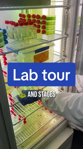LAB TOUR: Join @ari 👩‍🔬🌏🌊 as she gives us a tour of the Algal Biogeochemistry Lab here at Oxford 🔬🧪 #OxfordResearch #OxfordUniStudent #LifeAtOxford #OxfordTour #LabTour 