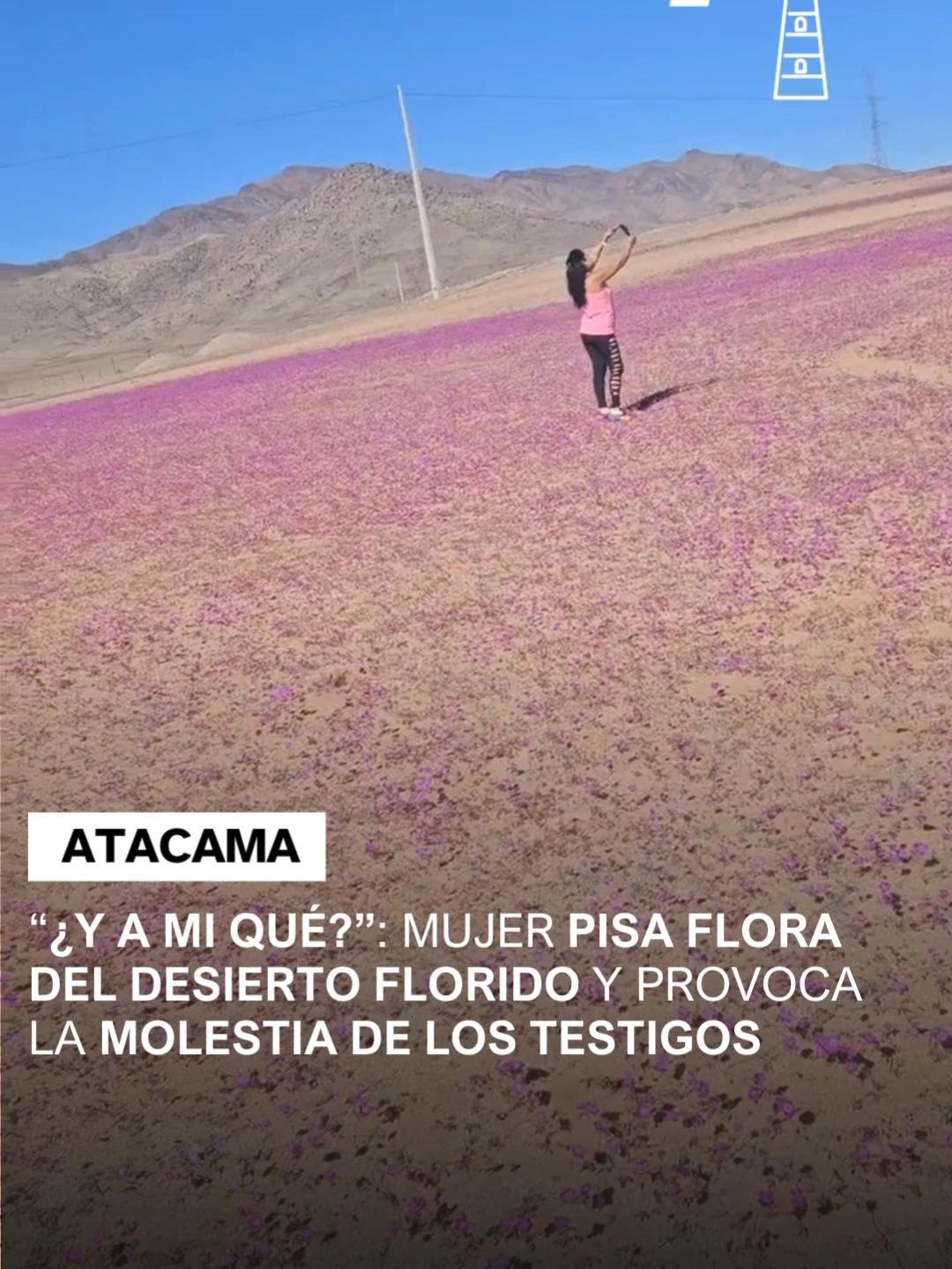 “¿Y a mi qué?“ respondió la mujer cuando le indicaron que podría estar dañando la flora 🤨 La temprana floración del Desierto Florido, ha provocado que diversas personas concurran al lugar para apreciar el fenómeno natural que se da en Atacama. No obstante, el día de ayer, se registró un complejo hecho. Visitantes que se encontraban apreciando el paisaje, lograron capturar en video a una mujer sacándose fotografías mientras pisaba las flores. Ante esto, los testigos emplazan a la mujer y le dicen que deje de pisar la flora. Toda la información en el link de la bio 🔗 #desierto #desiertodeatacama #desiertoflorido