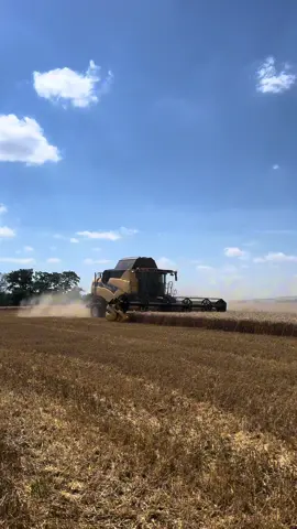 Harvest 2024 with NEW HOLLAND CX 8.80   #harvest #combine #newholland #czech #agriculture #tractor #pourtoi #foryou #CapCut 