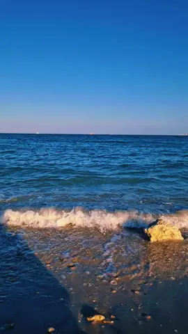 #sea #family #growmyaccount 
