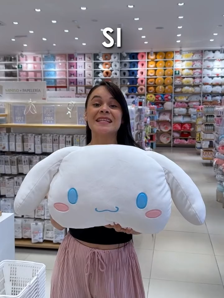 Solo los verdaderos fans de Sanrio tienen estas plumas 😍 #MinisoMexico  #NoSabiaQueLoNecesitaba  #Sanrio