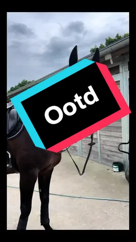All in black ootd from @Equestrian Stockholm #weloveit #loveit #liebenwir #fy #fyp #dressurpferd #springpferd #viral #happy #lebedeinentraum #black 