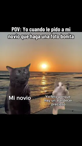 Soy esa 💅 #memes #amortoxico #novia #relacionesdepareja #gatos #gatitos #relaciontoxica #novio 