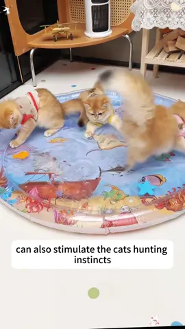 It is so cool for your dogs and cats to have this water bed in hot summer!!!🥶☀️save air conditioner fee and pet play fun😍😭#waterplaymat #dog #cat #dogbed #catbed #petbed #PetsOfTikTok #waterbed #dogsoftiktok #catsoftiktok 