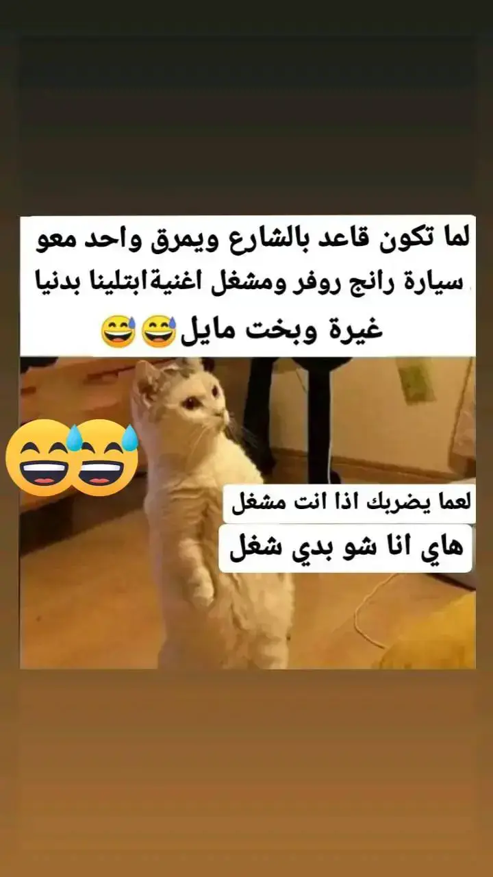 #الشعب_الصيني_ماله_حل 