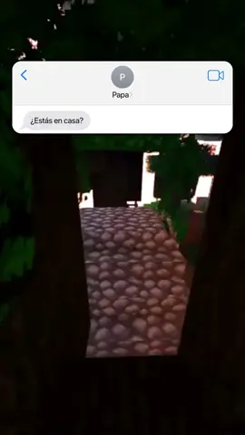 LA MADRE💀 #mensajes #historia #parati #España #minecraftparkour 