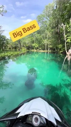 That Bass was huge!  #deep #clearwater #springs #fish #waverunner #florida