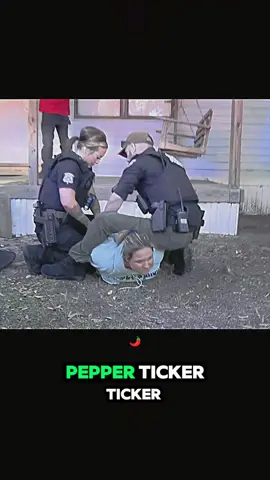 #cops #copsoftiktok #police #policeofficer 