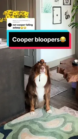 Replying to @tifffffffffff97 wait you gave me a great video idea 😂 #cooperbloopers 