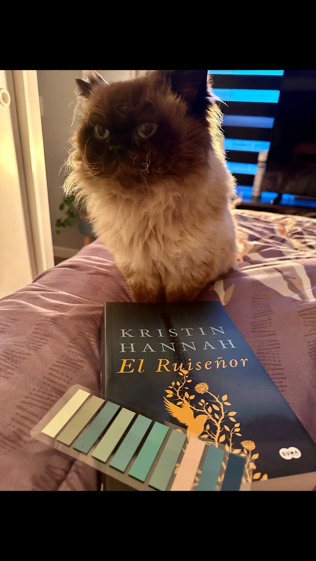 Por fin lo leeré: El Ruiseñor de Kristin Hannah. He leído muchas reseñas y comentarios muy buenos de él, y lo tenía en mi lista de pendientes.  #elruiseñor #kristinhannah #leeresvida💗📚 #BookTok #booktoker #librostiktok #libroslibroslibros #laserenachile🇨🇱 