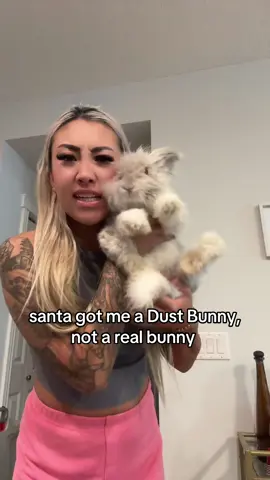 real life Dust Bunny from Big Comfy Couch #yyc #fyp #angorarabbit #englishangora #bunnytiktok 