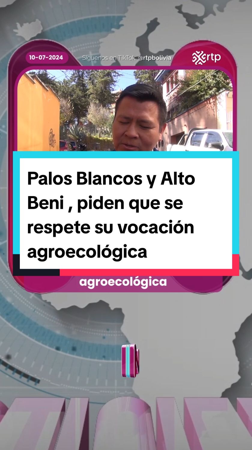 🎤📺 #PalosBlancos y #AltoBeni , piden que se respete su vocación #agroecológica . Ratifican su pedido a la #AJAM para que no autorice operaciones mineras en esos municipios. #rtpinforma #rtp #noticias #fouryoupage 