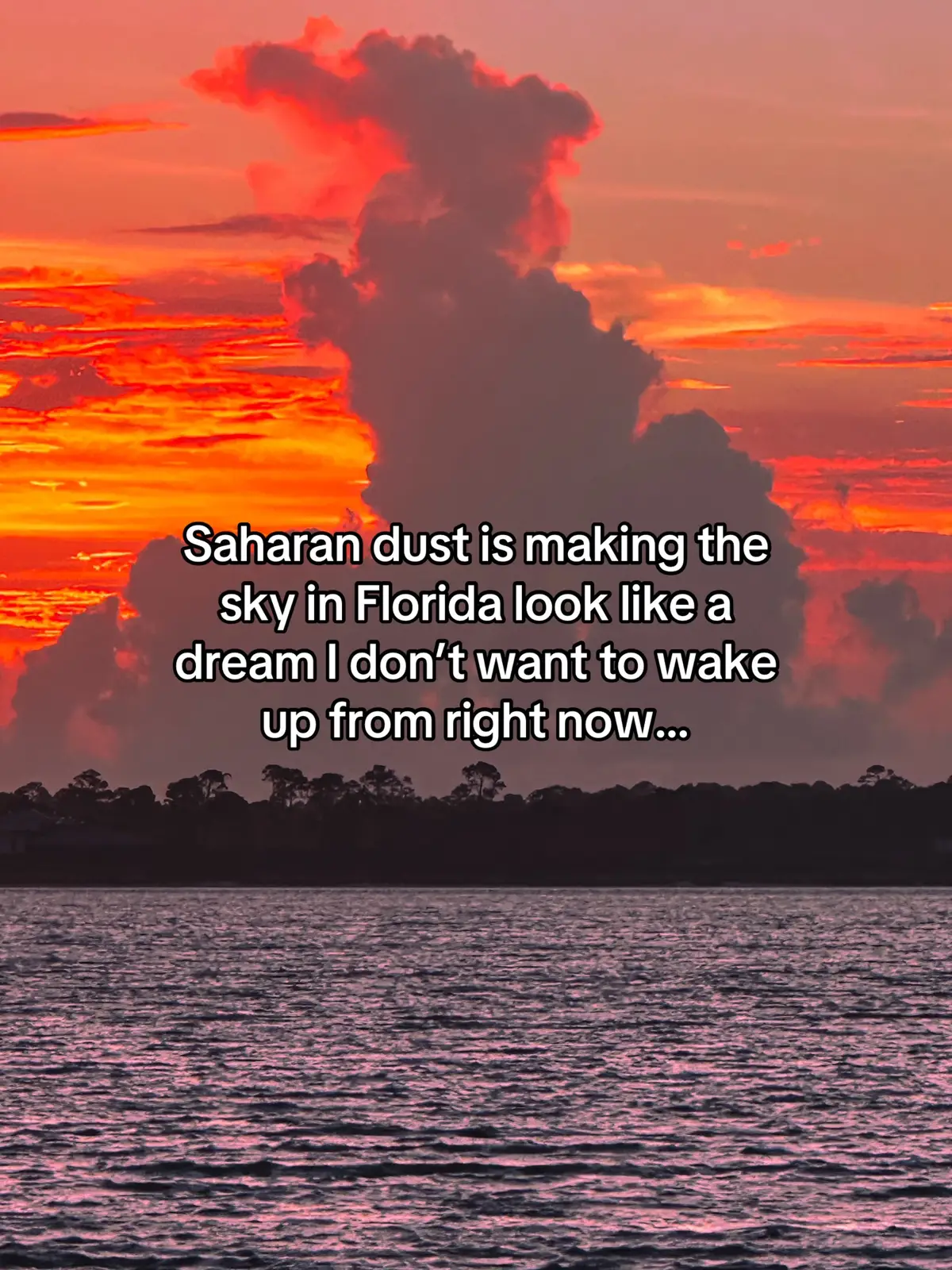 Saharan dust is a type of dust that originates from the Sahara Desert. When dust particles are suspended in the air, they can scatter sunlight, especially at sunrise and sunset. This scattering causes the sunlight to be broken down into a spectrum of colors, which is why we see the vibrant colors of a sunset. The dust particles also act like tiny prisms, refracting and dispersing the sunlight, further enhancing the colors of the sky. #sunset #sunrise #sky #florida #emeraldcoast #allthingsemeraldcoast #beach 