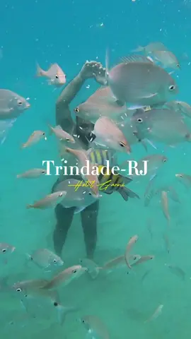 Suas férias perfeitas aqui em Trindade, um pequeno grande vilarejo. Cercado por um lindo Parque, praias exuberantes e cachoeiras, Trindade é o lugar perfeito para quem gosta de se aventurar na natureza e o Hotel Garni é perfeito para um dia pós praia! Aqui no Hotel Garni você encontra toda estrutura para dias perfeitos em Trindade - RJ! Uma experiência única que você só encontra aqui. • Todas as suítes do hotel tem vista para o mar. • Área externa com piscina adulto e infantil, sauna aquário e deck com churrasqueira e vista para o mar. • Café da manhã artesanal todo produzido no hotel. • Suíte presidencial com cama super king, ducha dupla, banheira de hidromassagem com vista para o mar. Para mais informações basta entrar em contato com o número (24)9 9831-8261 Av: Principal 1877 Trindade / Paraty - RJ Para mais dicas como essa em Paraty basta seguir nossa perfil. #curteparatyrj #paraty #trindaderj #paratyrj #hotel #pousadasparaty