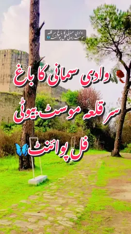 🍁 #Who has come here? Bagh Sir Qila most beautiful point of Wadi samahni Azad Kashmir 🥀🇬🇧🥀#mirpur_ajk🇵🇰🇬🇧 #kashmirwithstand_foryourpage❤️‍🔥 #villagelifevideos #kashmirwithstand_foryourpage #Natural #mostviralvideo #kashmirgroup #village 🇬🇧🥀#kashmirwithstand☆☆☆☆❤❤❤❤❤ #samahin_azadkashmirajk #son###villagelifevideos 