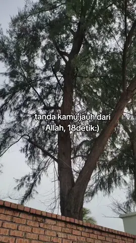 share 1x , 1000 pahala Aamiin 🤲