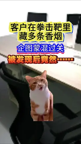客户在拳击靶里藏香烟，不听道理，略懂拳脚#公司日常 #国际快递 #万万没想到 #猫meme @抖音小助手 @DOU+小助手 @DOU+上热门