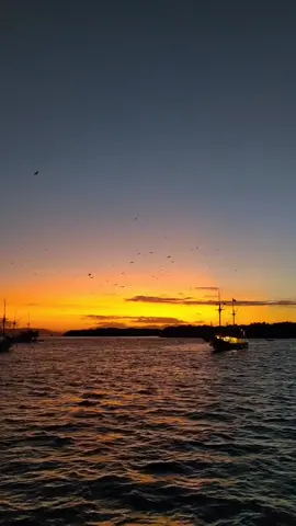 sunset in komodo 🧡 #fyp #pourtoi #travel #indonesia #labuanbajo #komodonationalpark #komodoisland #voyage 