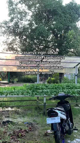 mengalir aja #vito #foryoupage #fyp 