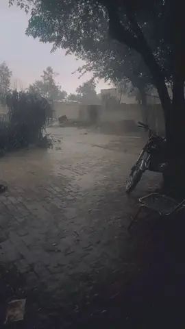 ......