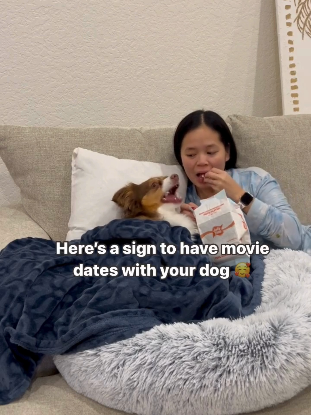 Enjoy movie nights with your furry best friend! 🍿🐶 MrFluffyFriend Anxiety Relieving Bed ensures both of you can relax in comfort @mochi.the.aussie1 #MrFluffyFriend #DogAnxiety #PetWellness #DogBed #AnxietyRelief #HappyPets #DogLovers #PetProducts  #MovieDate