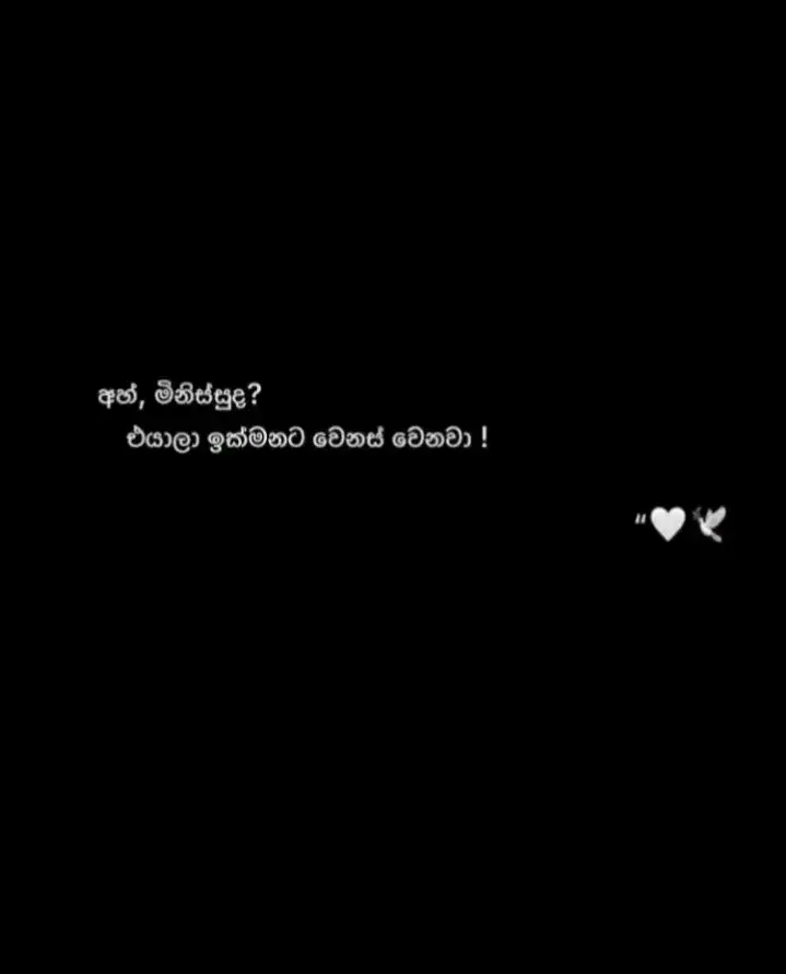 #rap #tedring #likes #mirigama #jangankendorjagaimun #fypage #fypシ #srilankan_tik_tok🇱🇰 #capcup #fakesituation⚠️ #comendy #dabulla #fyyyyyyyyyyyyyyyy #stuts_video #foryou #1millianaudtion  #likes #stumbleguys #fyyyyyyyyyyyyyyyyyyy #stuts_video #likeaboss 