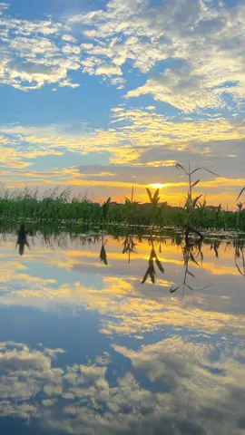 অন্যরকম কিছু আশা করছিলাম 😭 #foryoupage #fyp #foryou #nature #underwater #sunset #bangladesh 