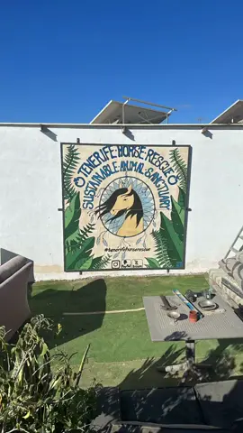 Look at our new sign!! Isn't it beautiful? How to help👇 Bizum > 672350505 PayPal >  donations@tenerifehorserescue.com IBAN > ES36 0081 0608 3800 0173 7577 Website >  https://tenerifehorserescue.com/donations/ Book a visit - call +34 644126126 Thank you so much🙏❤️