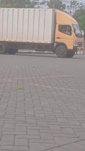 #CapCut 