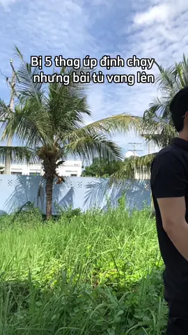 Dô thế rồi #fyp 
