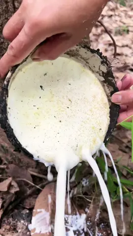 #Outdoors #satisfying #skills #asmrvideo 