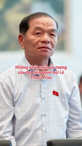 Những phát ngôn ấn tượng của đại biểu Quốc hội Lê Thanh Vân #thongtinchinhtri 