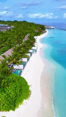 Discover paradise at Kuramathi Island Resort, where turquoise waters and pristine beaches await you. 📍: Kuramathi Island Resort #MaldivesVirtualTour #Maldives #VisitMaldives #Explore #TravelBlog #Traveller #TravelBug #LuxuryTravel #VacayGoals #BestOfMaldives #MustVisit #TropicalVibes #KuramathiIslandResort