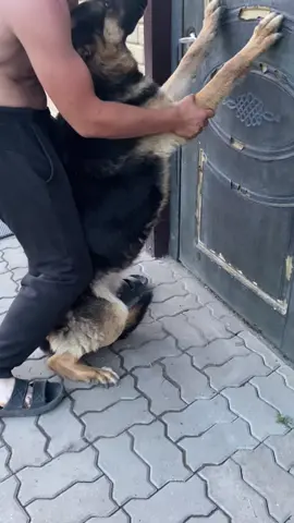 Задердажи по среди белого дня 