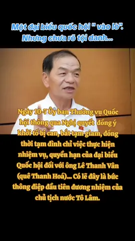 Đồng ý cho phép khởi tố, bắt tạm giam đại biểu Quốc hội Lê Thanh Vân. #toiyeuvietnam #vietnamtoiyeu #tinhyeuvietnam #khoito #lethanhvan #daibieuquochoi #tintuc #xuhuong #thinhhanh #fyp 
