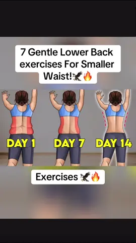 14 Days to lower back exercises for smaller Waist ! 🦅🔥 #workout #Fitness #unitedkingdom  #fyp 