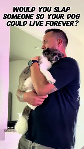 No questions asked… just look at him 🥹🥹 He’s just a baby! 🤣 #dogsoftiktok #puppylove #littleboy #dogtok #dogmom 