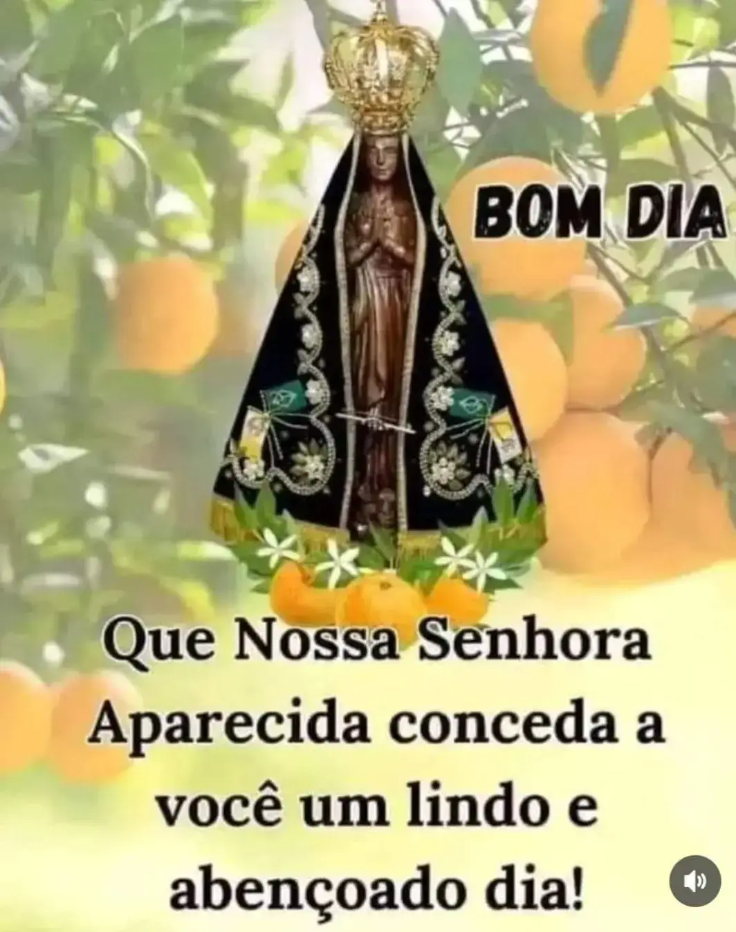 Que seu dia seja repleto de luz e realizações, que o manto de N. Senhora te cubra e te proteja de todo o mal, amém.  #foryou #top #viral #sejacriador #crescernotiktok #viraliza 