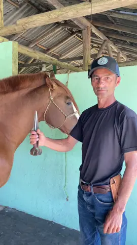 #caballos #polo #cavalo #charreria #ronaldokreusch 